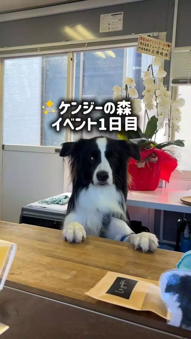 みこ