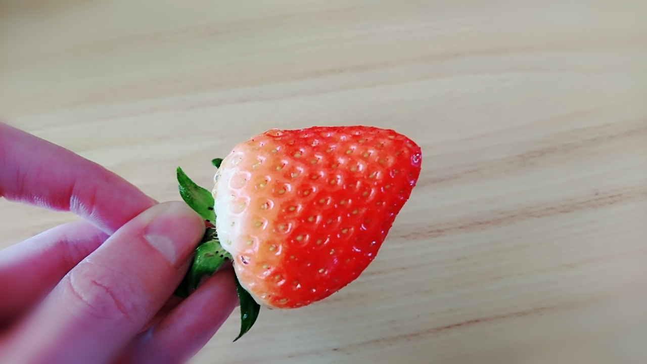五条 椿