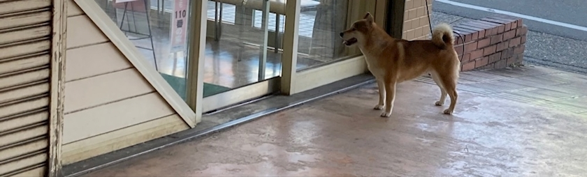 エリカ