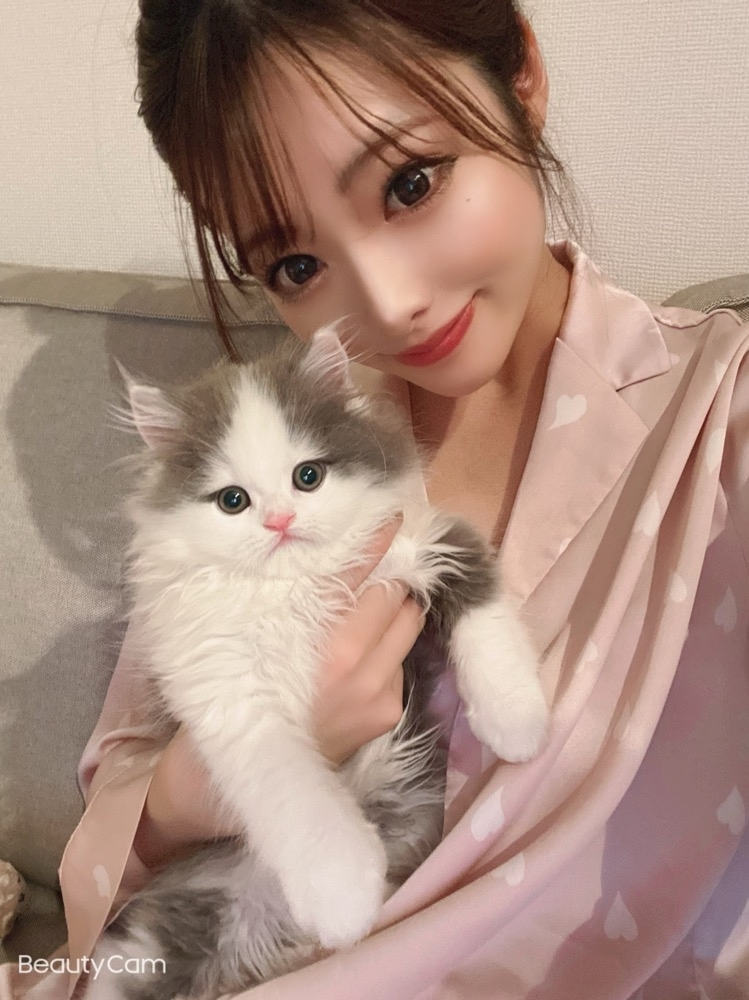一条 みさき