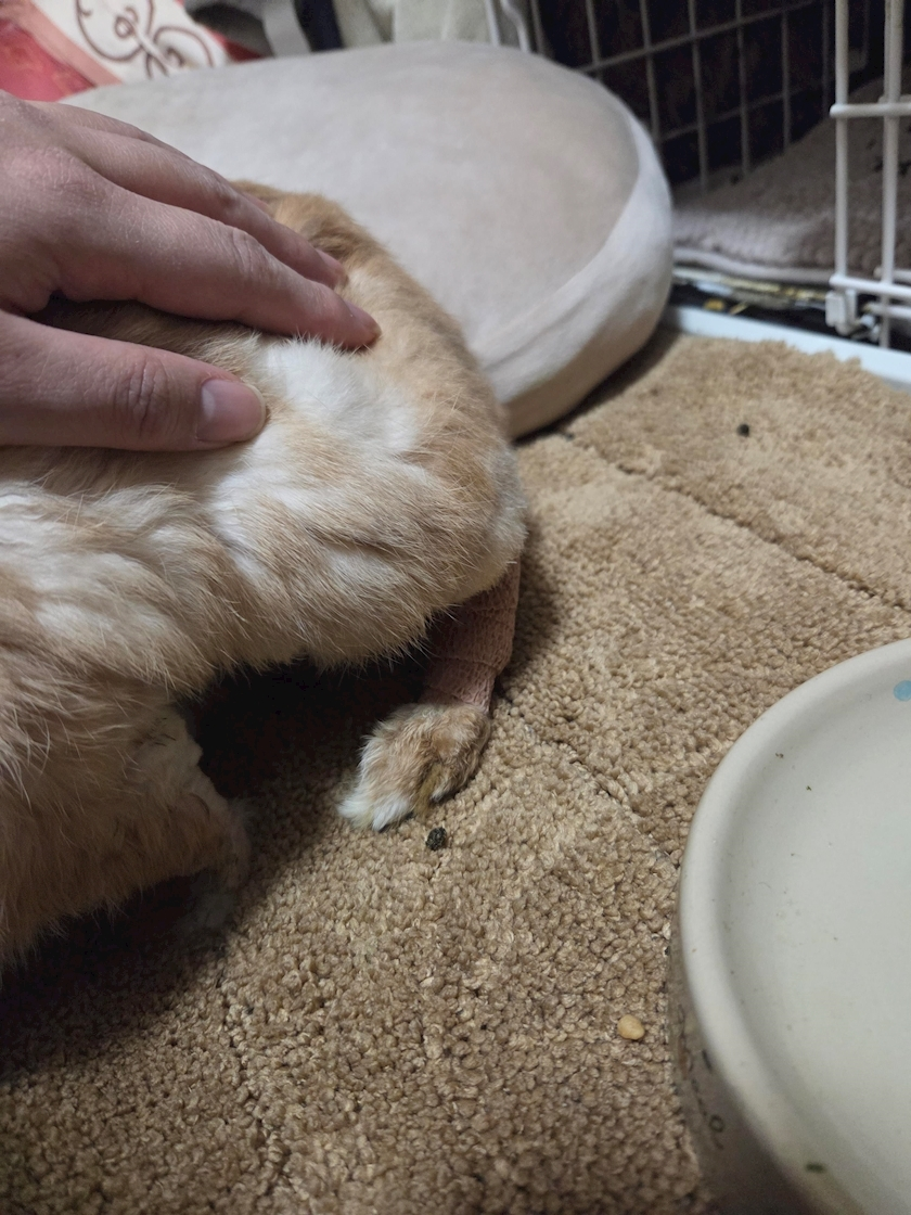 ほのか