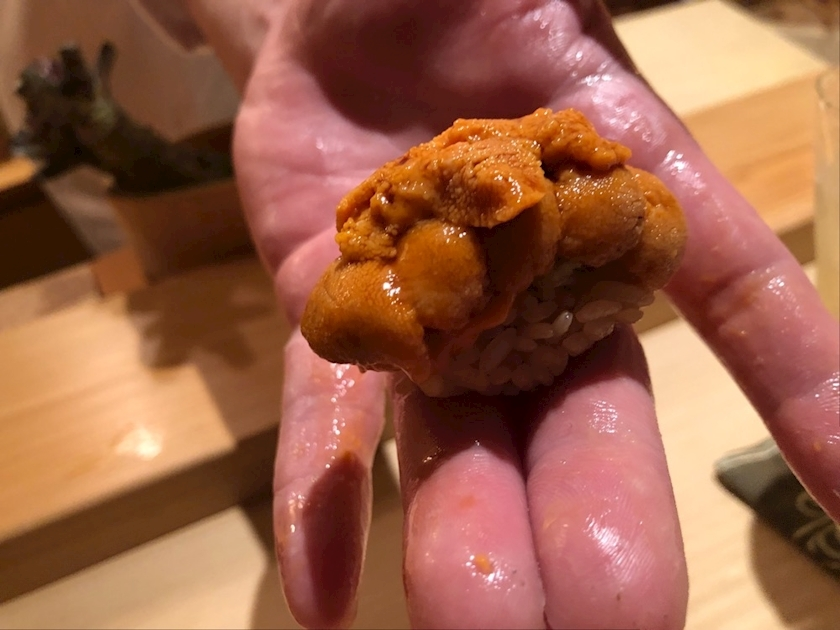 芹澤 あん