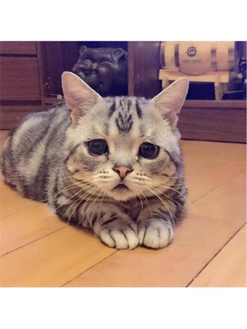 蓮見 リア