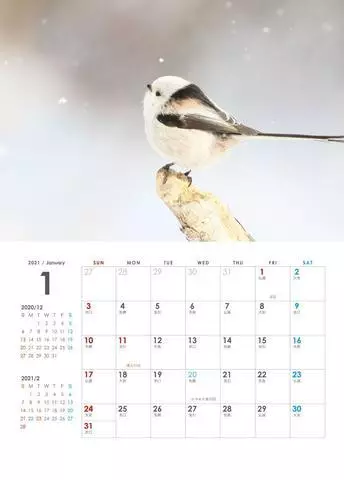 ひな