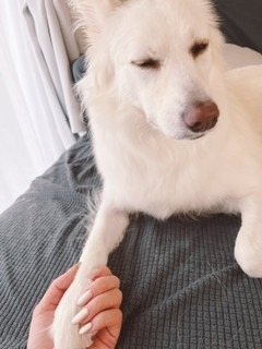 京 さゆみ