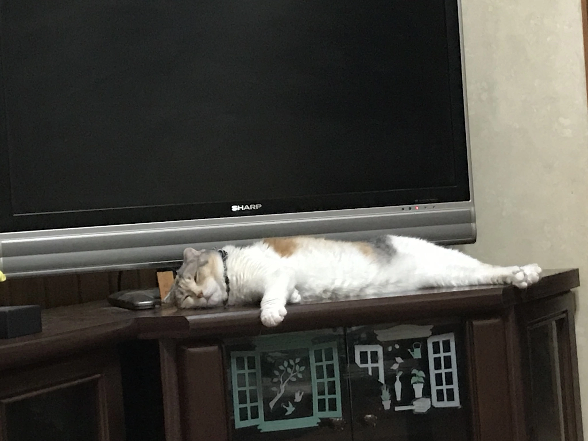 しの