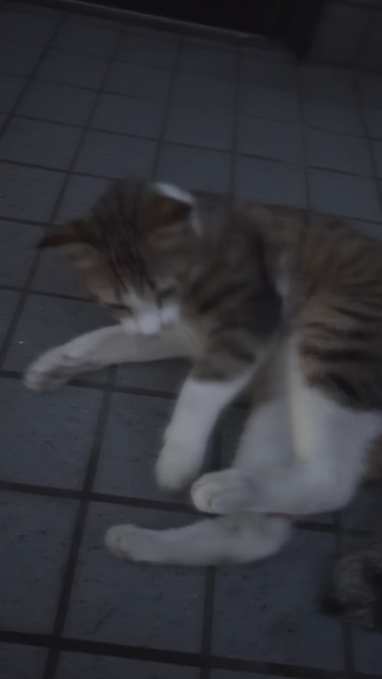 れむ