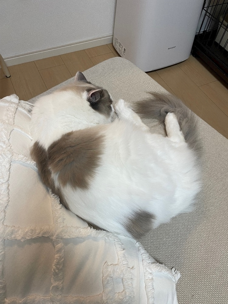 辻 みなみ