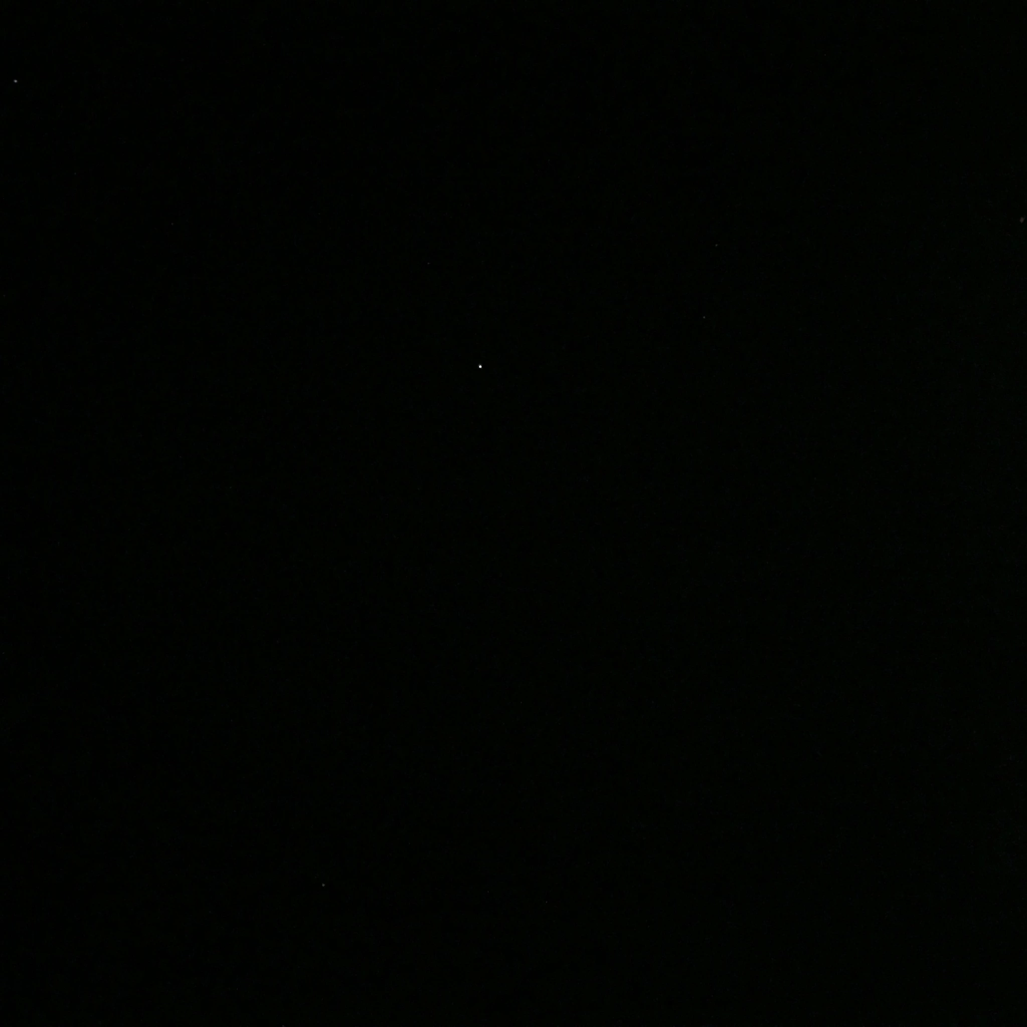 林檎