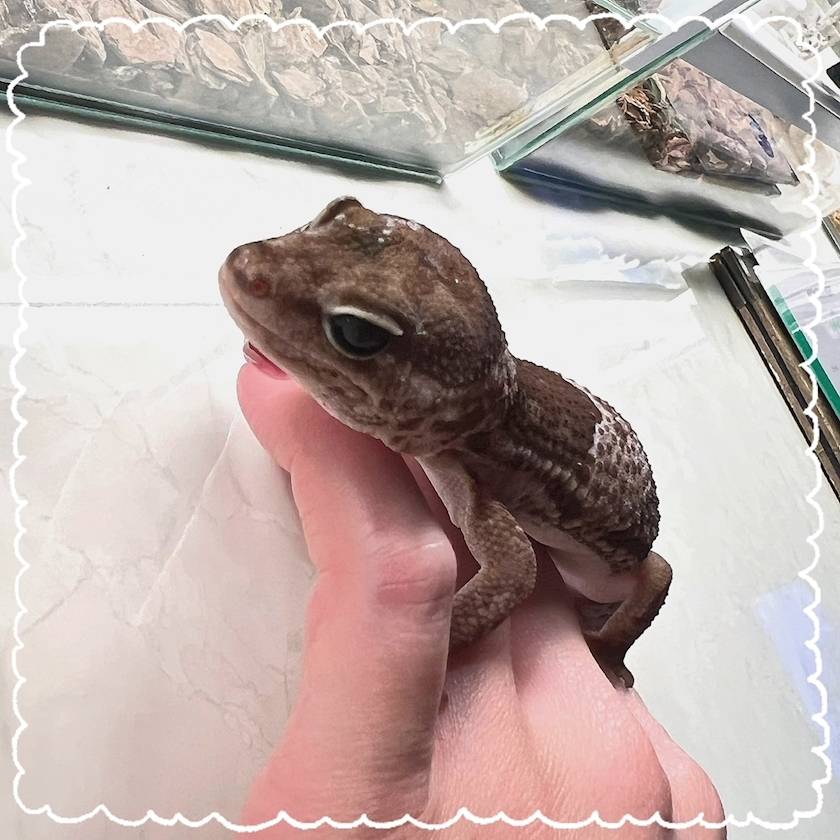 杉谷 ちなみ