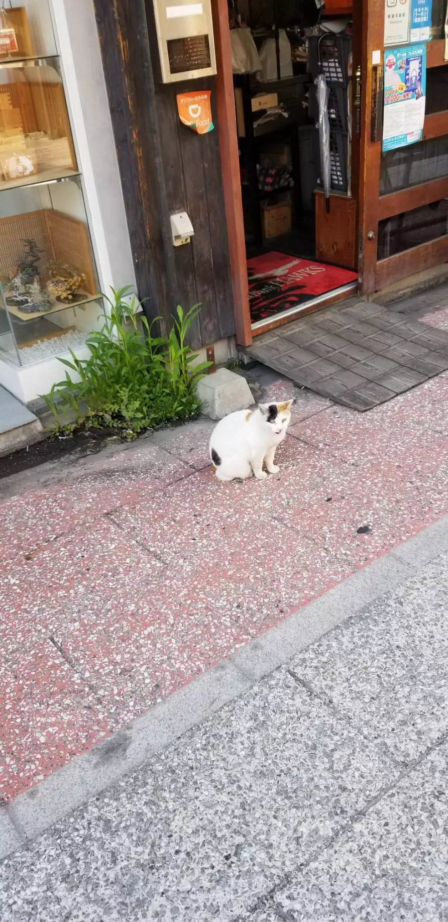 みなみ
