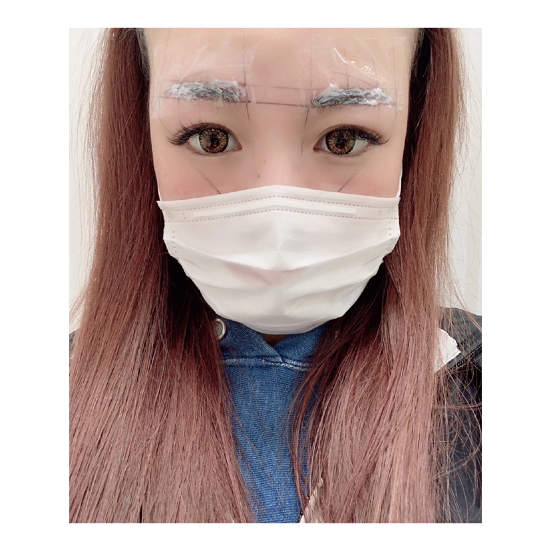 しおん