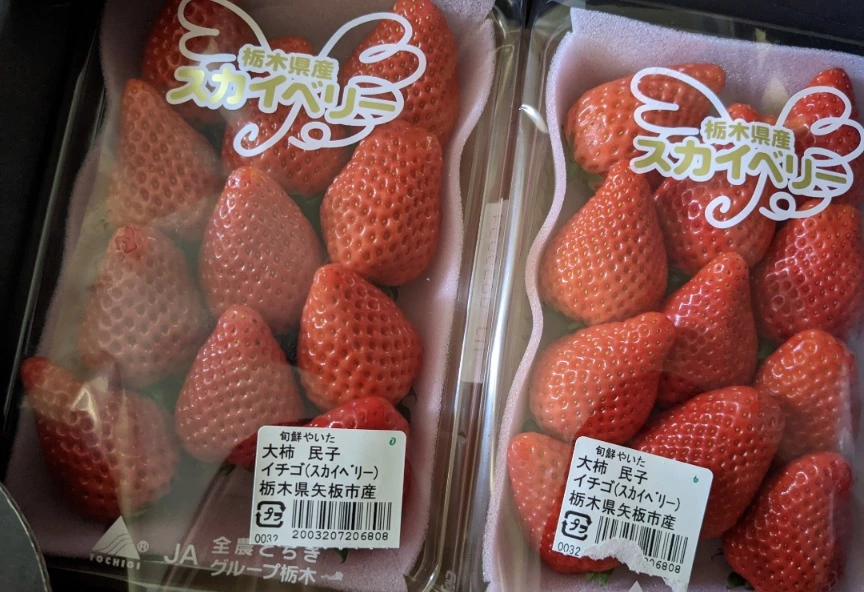 五条 椿