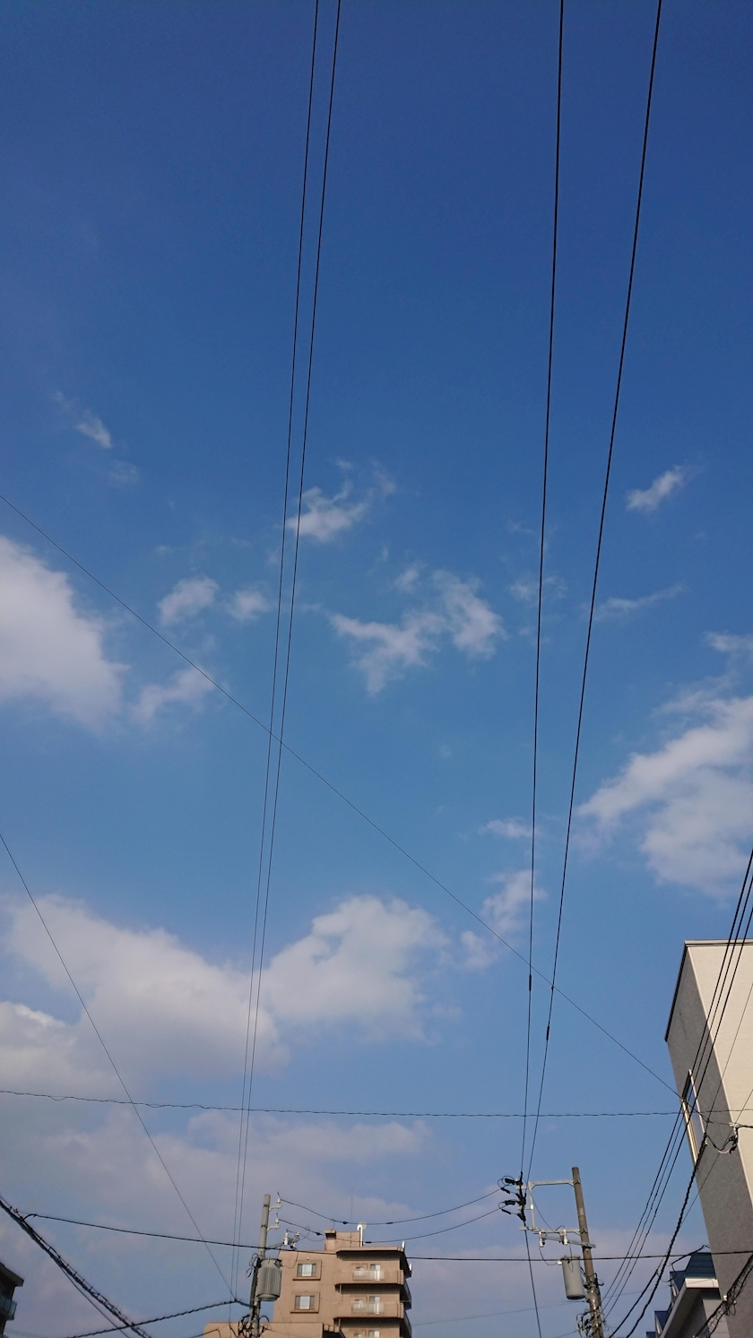 のはら かすみ