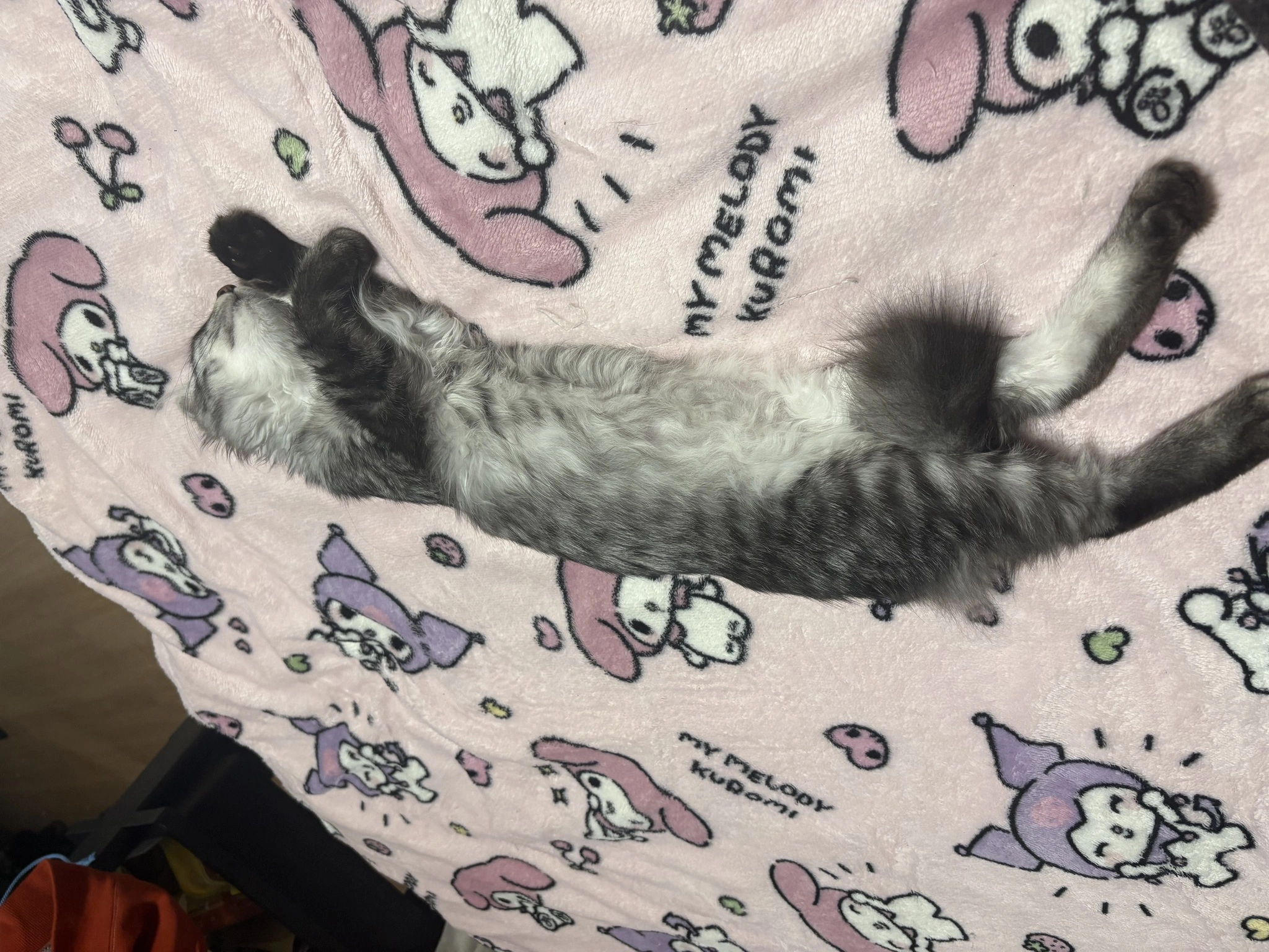 ゆう