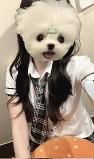 ひじり