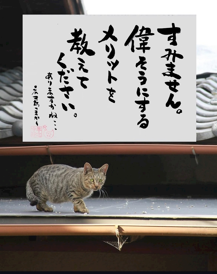 るな