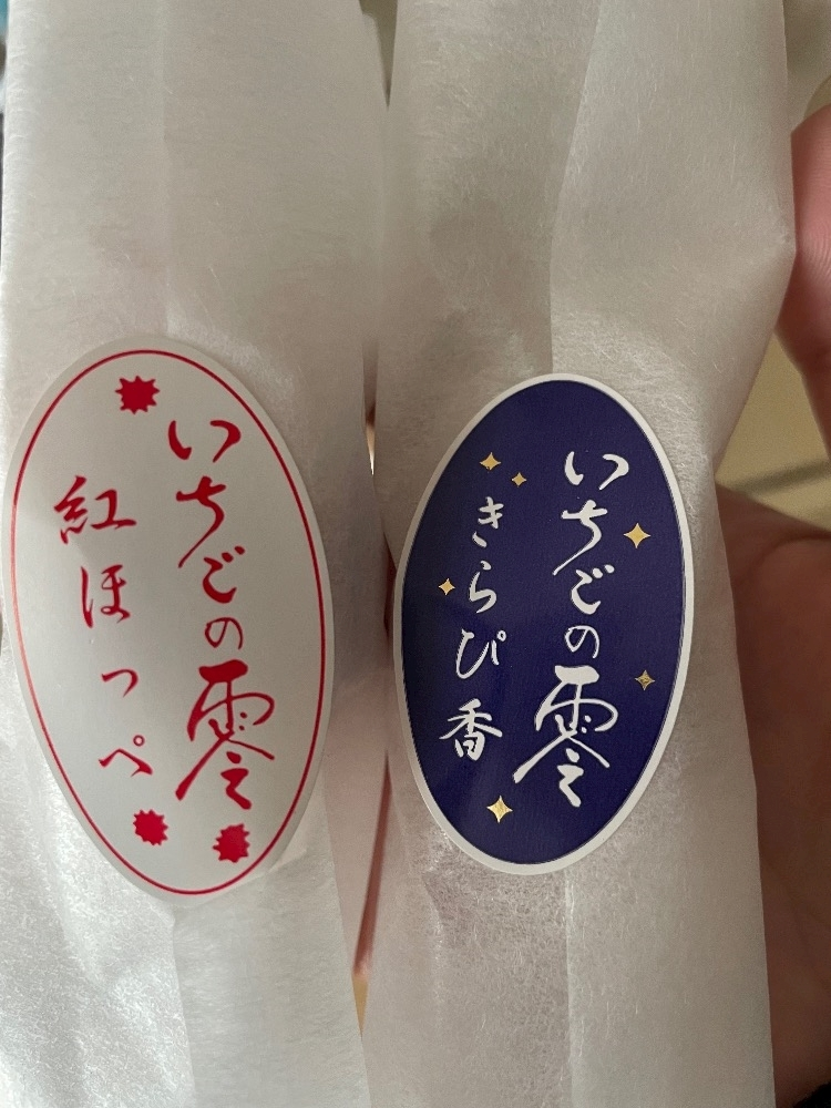 姫乃 ゆき