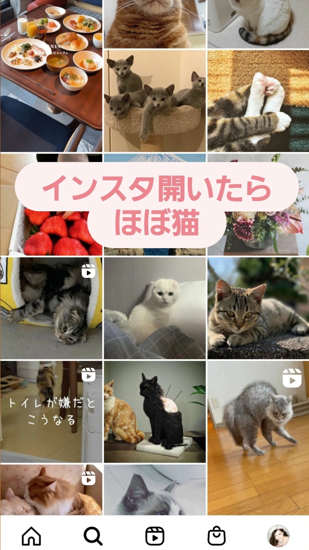 紫音