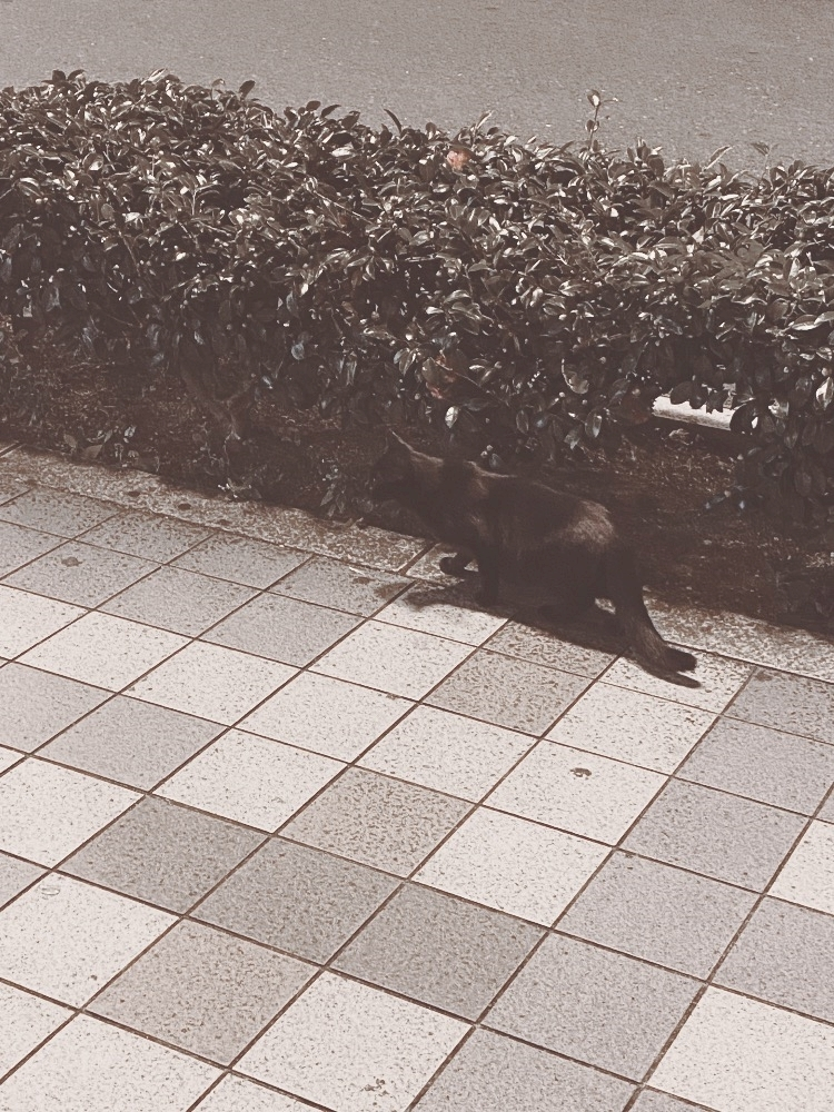 美吉 アユム