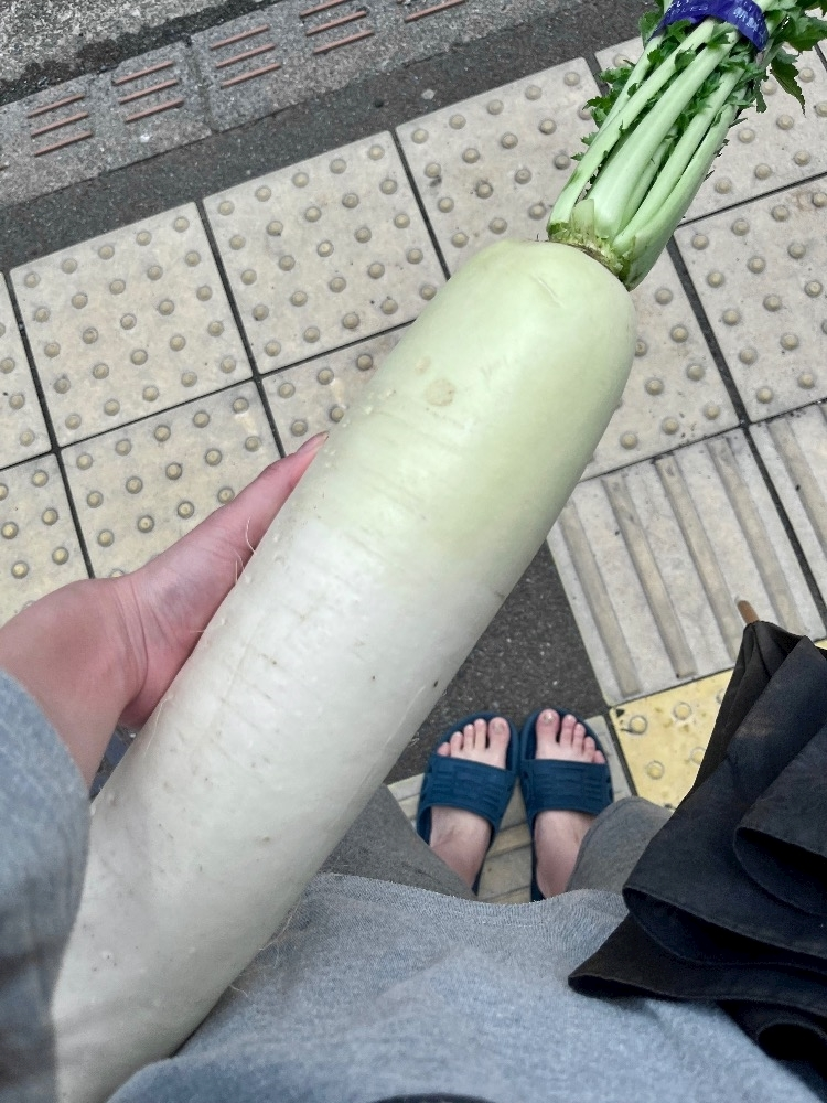 みずき