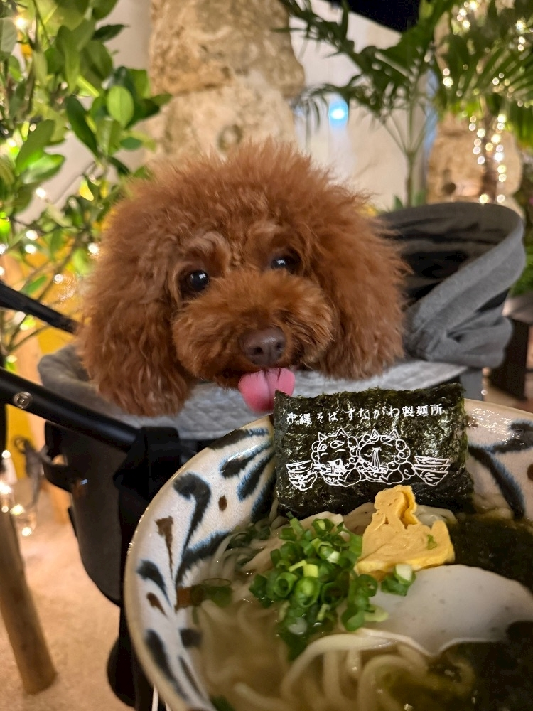 美好 もも