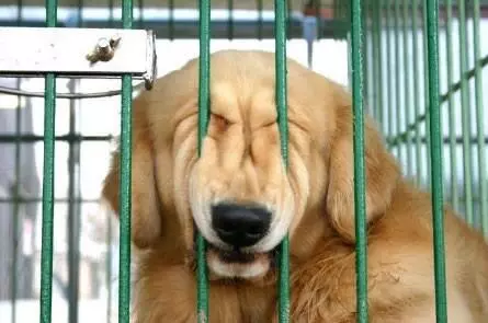 れん