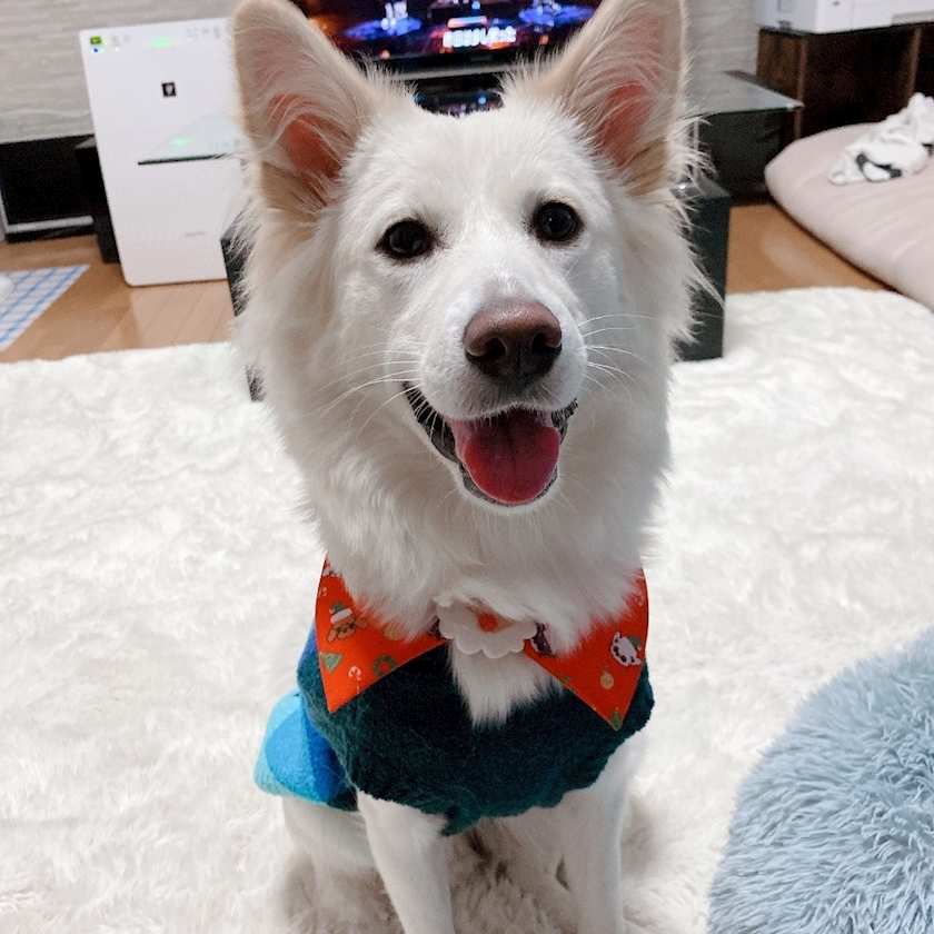 京 さゆみ