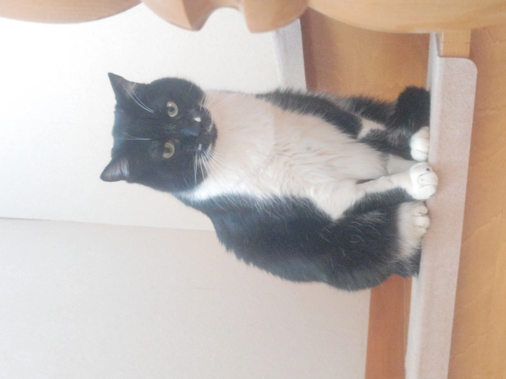 ひかる