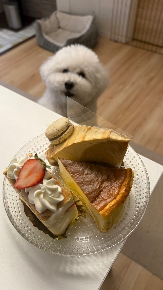ミナミ