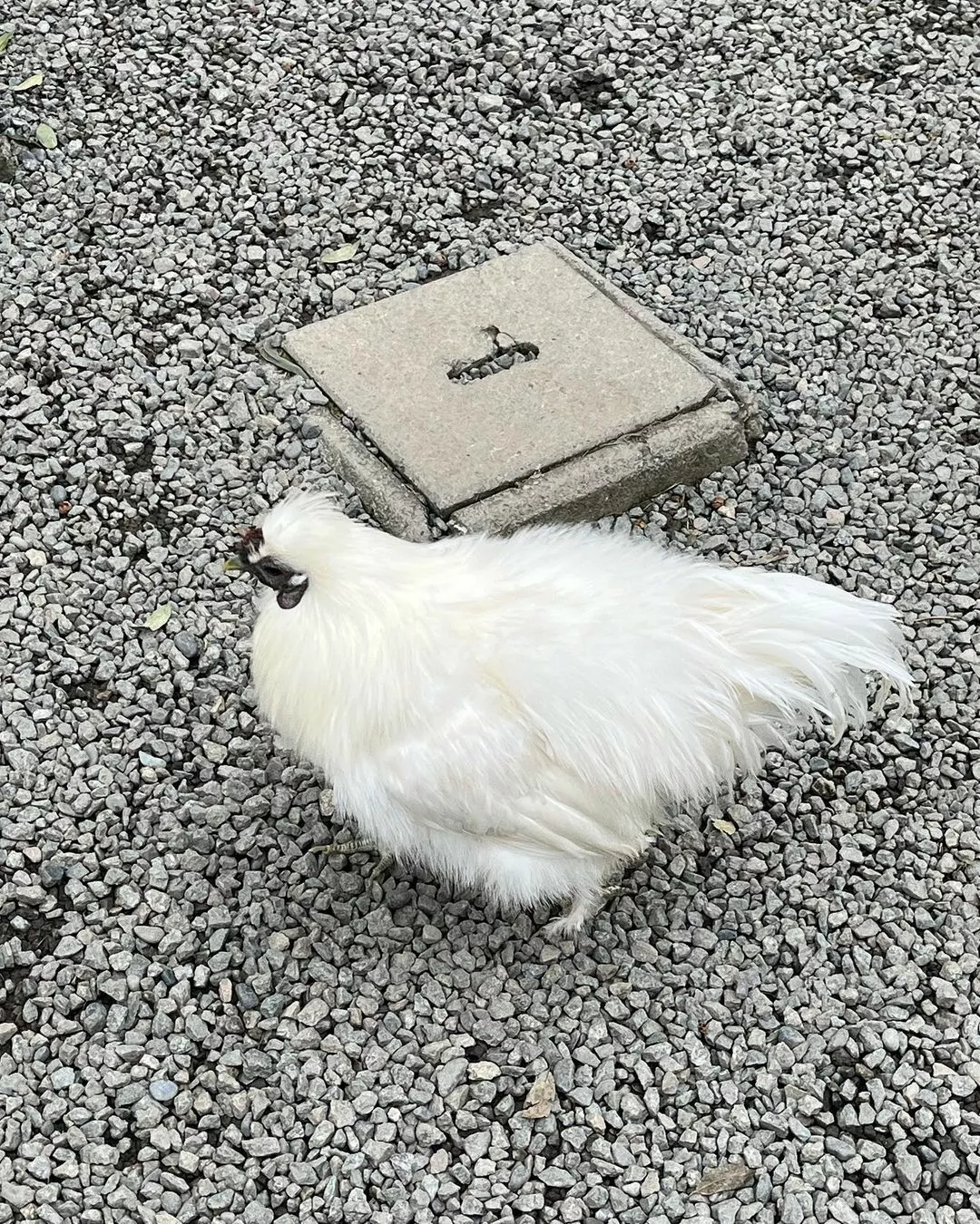 なぎ