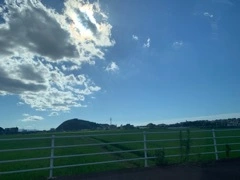 なぎさ