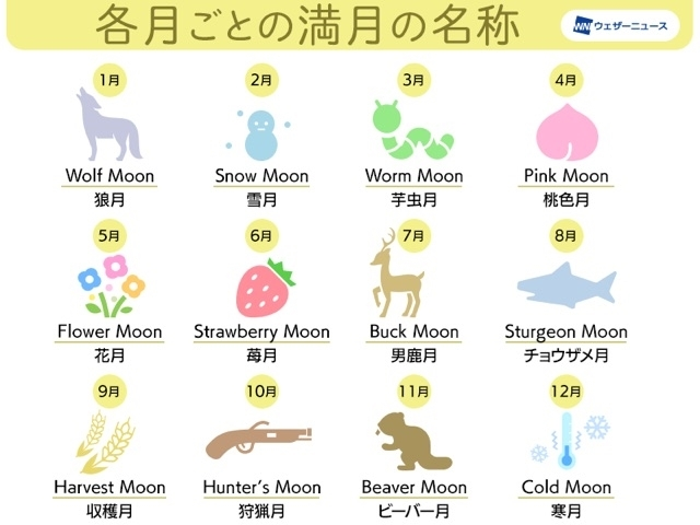 聖月 綾