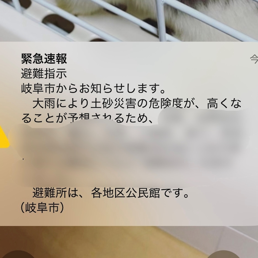 湊崎 さな