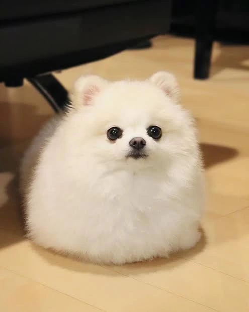 りおん