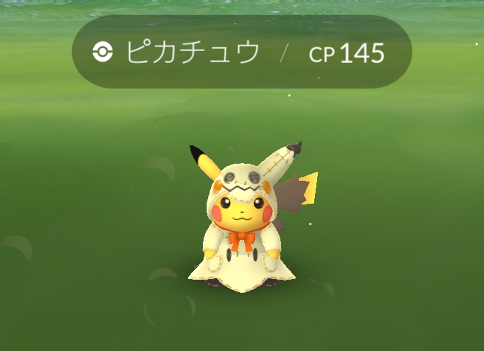 五条 椿
