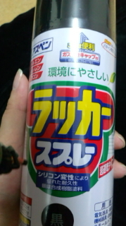 星野 めぐ