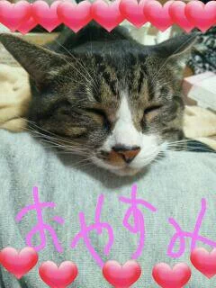 愛羽 仁美