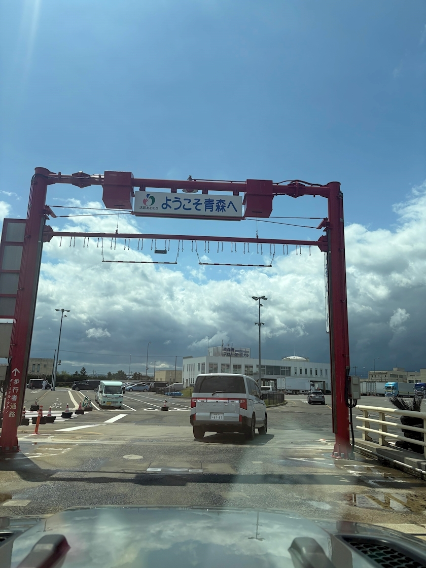 橘 美咲