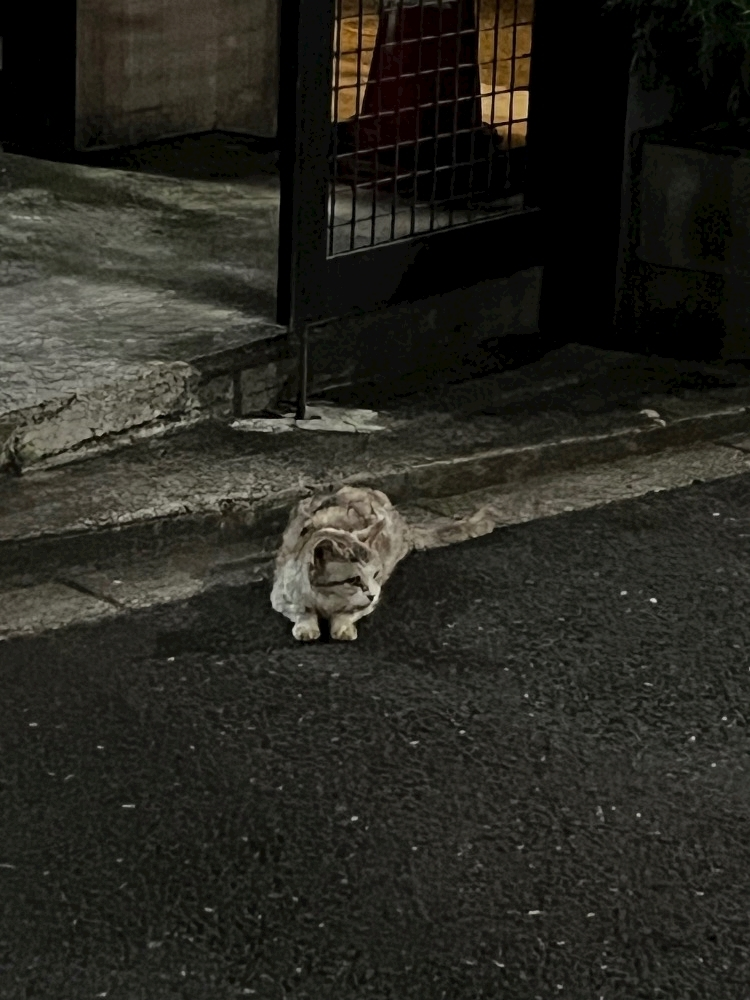 みや
