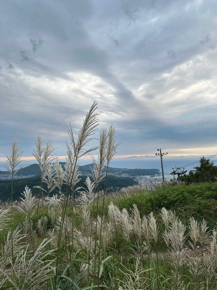 神崎 蘭