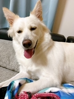 京 さゆみ