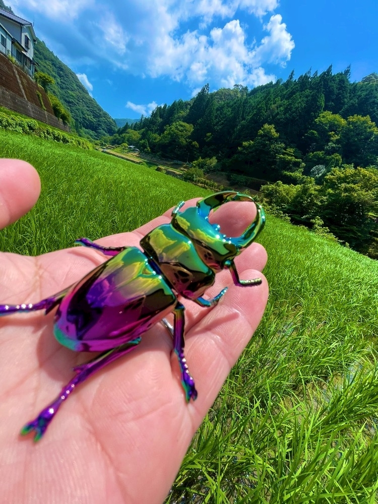 立華 あん