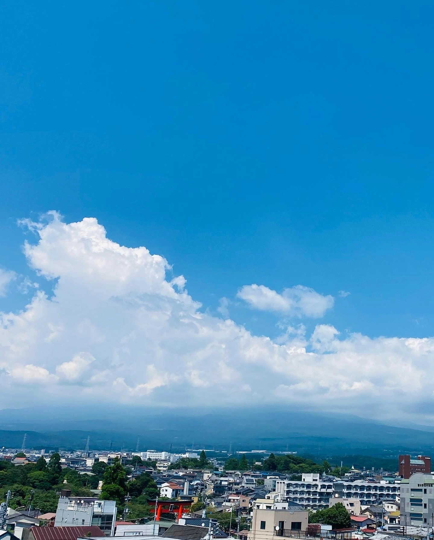 ゆかり