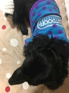 りえ