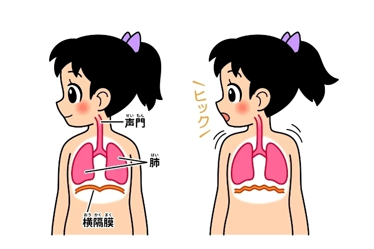 エミ （スタッフ）