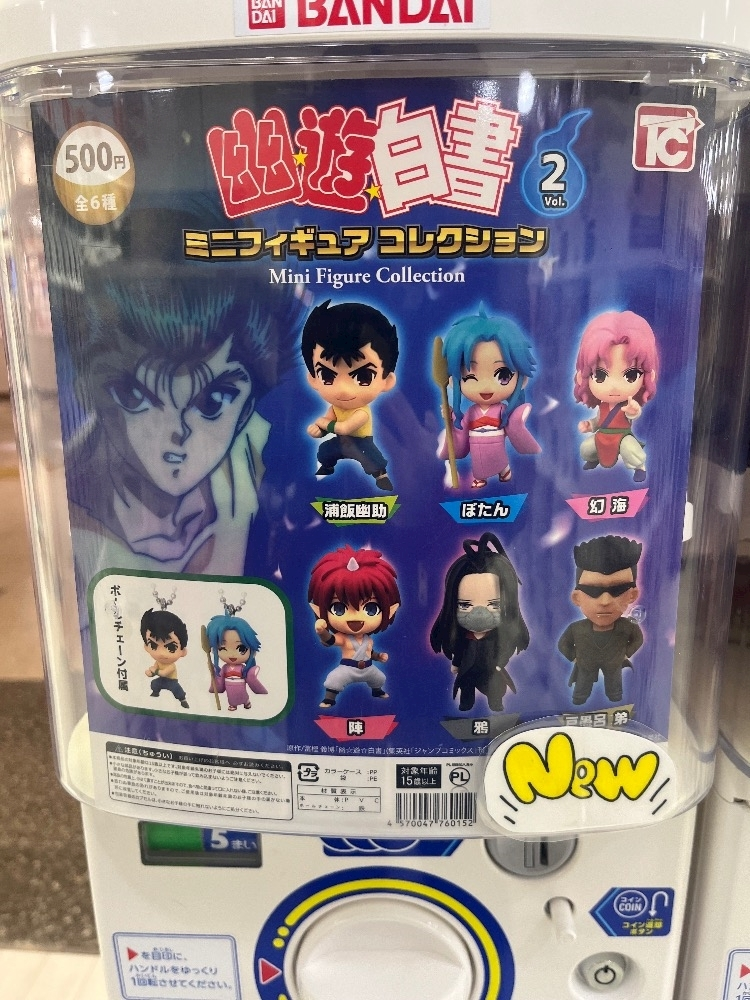 立華 あん