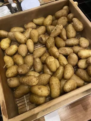 長瀬 純恋