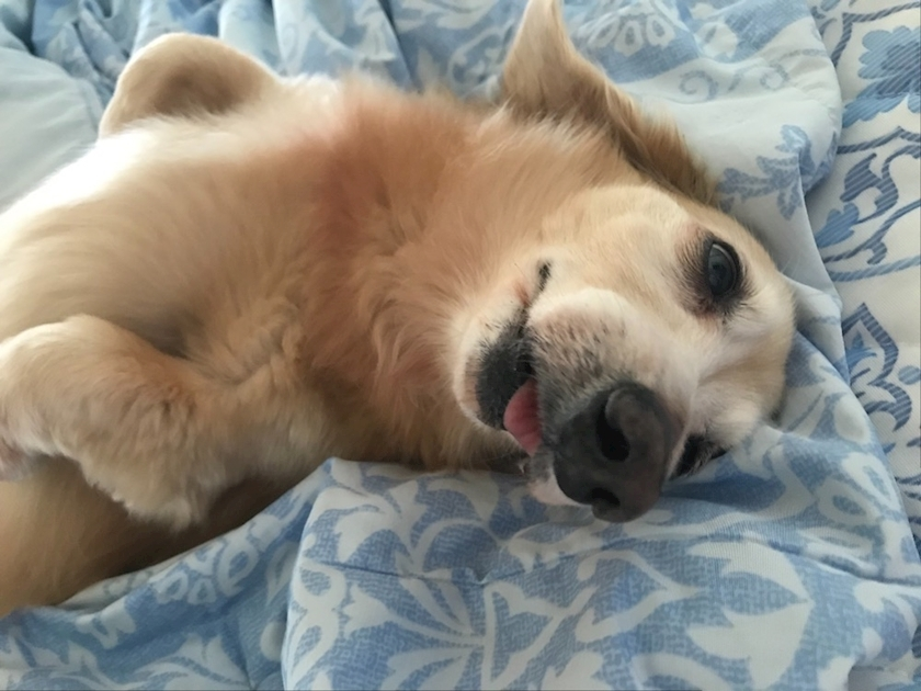 ティナ