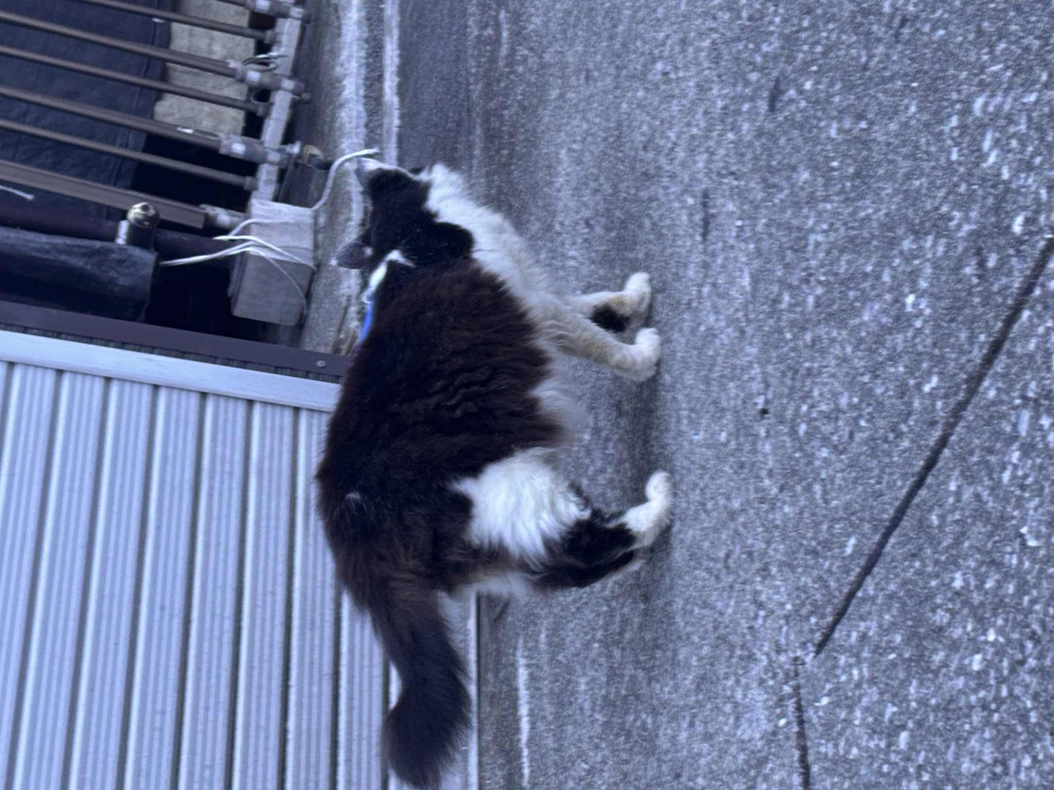 ふあ